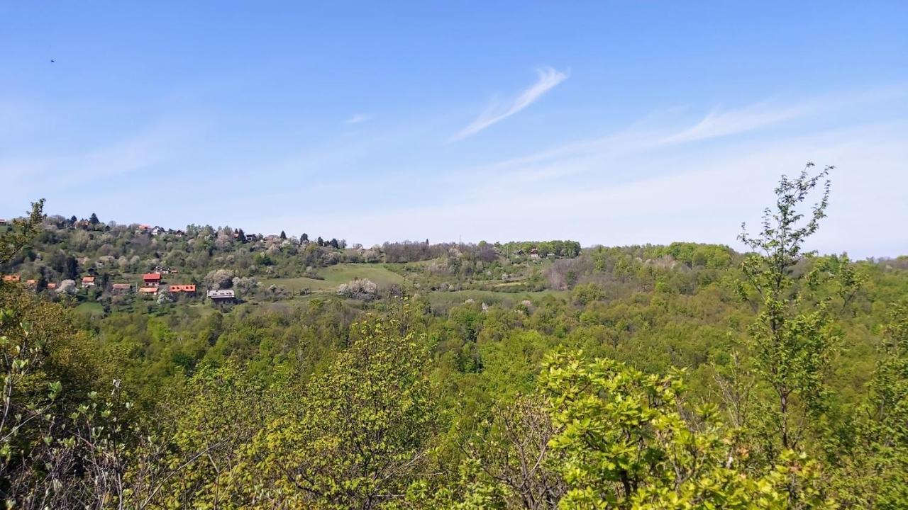 Kuca Za Odmor Poljanica Okicka Villa Jastrebarsko Dış mekan fotoğraf
