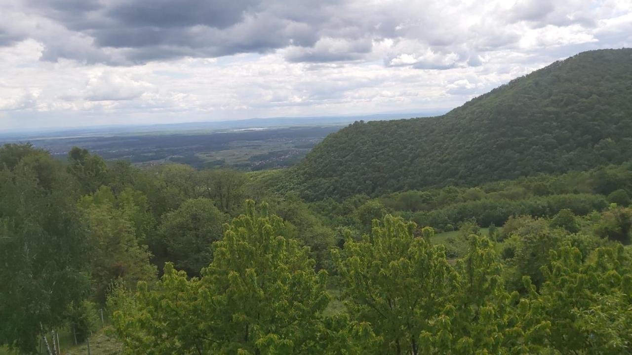 Kuca Za Odmor Poljanica Okicka Villa Jastrebarsko Dış mekan fotoğraf