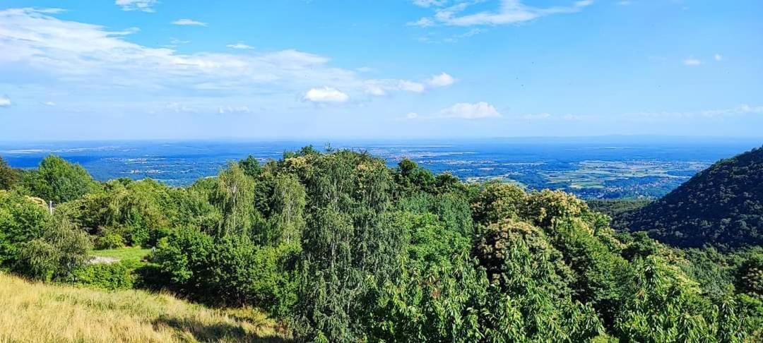 Kuca Za Odmor Poljanica Okicka Villa Jastrebarsko Dış mekan fotoğraf