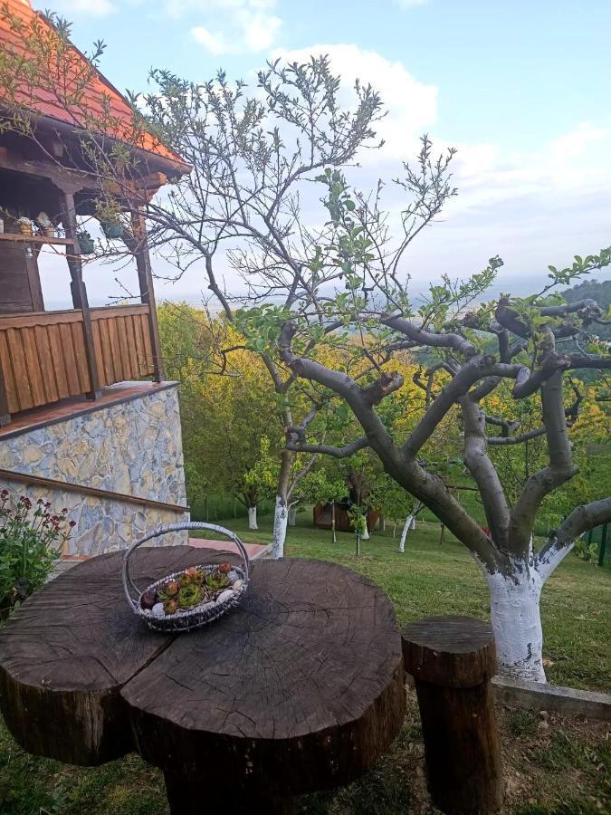 Kuca Za Odmor Poljanica Okicka Villa Jastrebarsko Dış mekan fotoğraf
