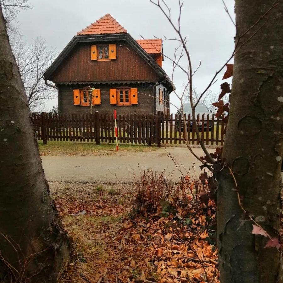 Kuca Za Odmor Poljanica Okicka Villa Jastrebarsko Dış mekan fotoğraf